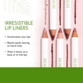 thumbnail image 4 of Delineador de labios Honeybee Gardens Irresistible Island Spice 1,2 ml, 4 of 6
