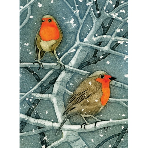 Wild Birds Pocket Notebook: Robin, (Hardcover)