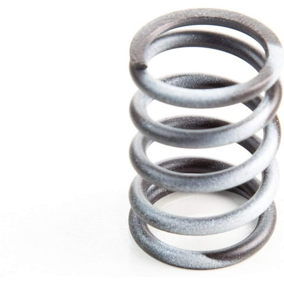 Briggs & Stratton Valve Spring | 820406