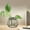 A, variant on DefiDgd Glass Vase Small Flower Vase Hollow Clear Vases,for Hydroponic Planter Flowers,Farmhouse Office Table Desktop Decor(B)