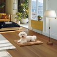 thumbnail image 1 of Alfombrilla autocalentable para perros, lavable, gruesa, para cama de perrera, cojín para mascotas pequeñas, sofá para mascotas mayores, sofá de conej Caqui M, 1 of 6