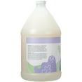 thumbnail image 3 of Ginger Lily Farms Botanicals Moisturizing Shampoo for All Hair Types, 100% Vegan & Cruelty-Free, Lavender Chamomile Scent, 1 Gallon Refill (128 fl oz), 3 of 6