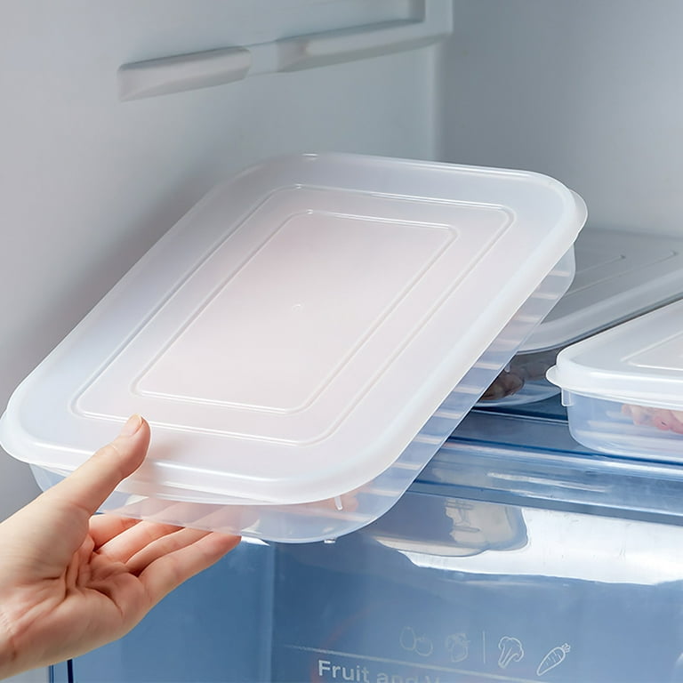 1pc Kitchen Fridge Storage Box For Fish Meat, With Lid, Plastic