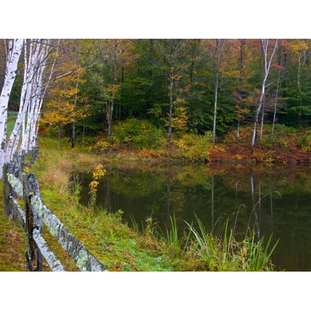 Fall Colors in the Galton Pond, Gralton, Vermont, USA Print Wall Art By Joe Restuccia (Best Fall Colors In Vermont)