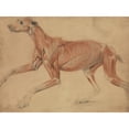 thumbnail image 3 of Charles Landseer 24x19 Black Modern Framed Museum Art Print Titled - A Full Size Ecorche Study of a Hound (1821), 3 of 5