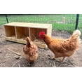 thumbnail image 4 of Zylina Best Rest Triple Nesting Box, 4 of 6
