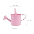 thumbnail image 2 of Vintage Mini Watering Can Set Rustic Metal Gardening Tools, 2 of 6