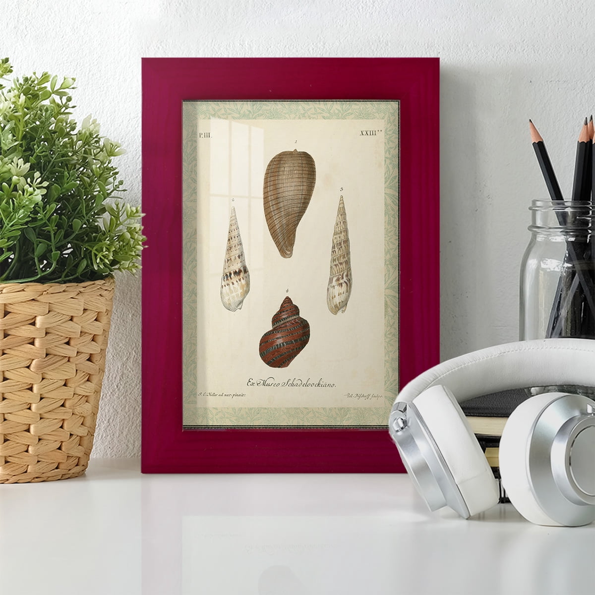 Bookplate Shells V - Framed Print w/glass - Cherry Red