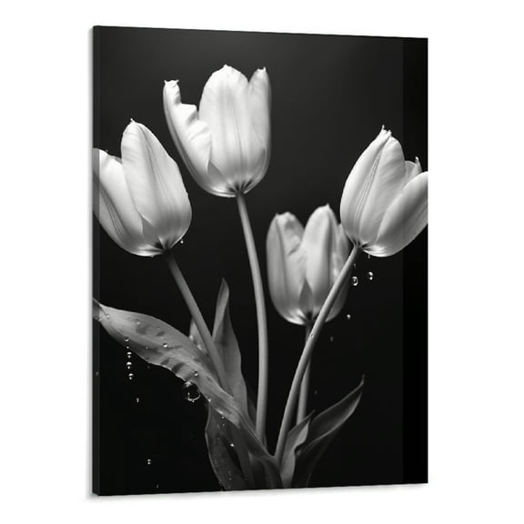 Creowell Tulips Pictures Wall Decor Black and White Tulips Flower Painting Prints Flowers Canvas Wall Decor Framed Modern Home Artwork for Bedroom Kitchen Ready to Hang  16x20Inch