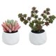thumbnail image 1 of 2 uds. Bonsái de diamante grande, simulación de bonsái suculento, flor artificial, planta decorativa creativa, decoración interior, 1 of 5