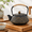 Black, variant on Green Cast Iron Teapot with Infuser, Enameled Interior, Cloud Pattern, 27oz Stovetop Safe Tea Kettle