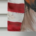 thumbnail image 4 of Carolines Treasures CK6674CHF Ratonero Valenciano Dog American Canvas House Size Outdoor-Flags, Multicolor, 4 of 4