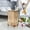 C, variant on Cosmetic Organizer Desktop Storage Transparent Makeup Beauty Portable Cosmetics Holder Travel Vanity Organizer