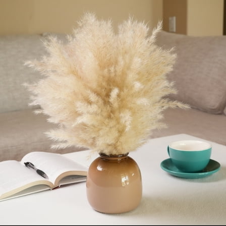 Home Decor Collection 16.5 " Pampas Dried Grass in Brown Ceramic Vase Made for Tabletops- 2 lbs