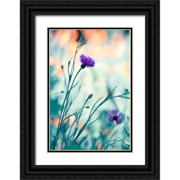 Bravin, Fabien 11x14 Black Ornate Wood Framed with Double Matting Museum Art Print Titled - Colors game 2