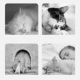 thumbnail image 3 of Cat House, Soft Fabric Sponge Foldable Cat Bed House  For Indoor SPets Within 7.7lb,MPets Within 16.5lb,LFor Several Pets, 3 of 8
