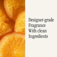thumbnail image 4 of Recambio para difusor de aire inteligente Pura Paddywax, paquete de 2 unidades, Wassail, 4 of 7