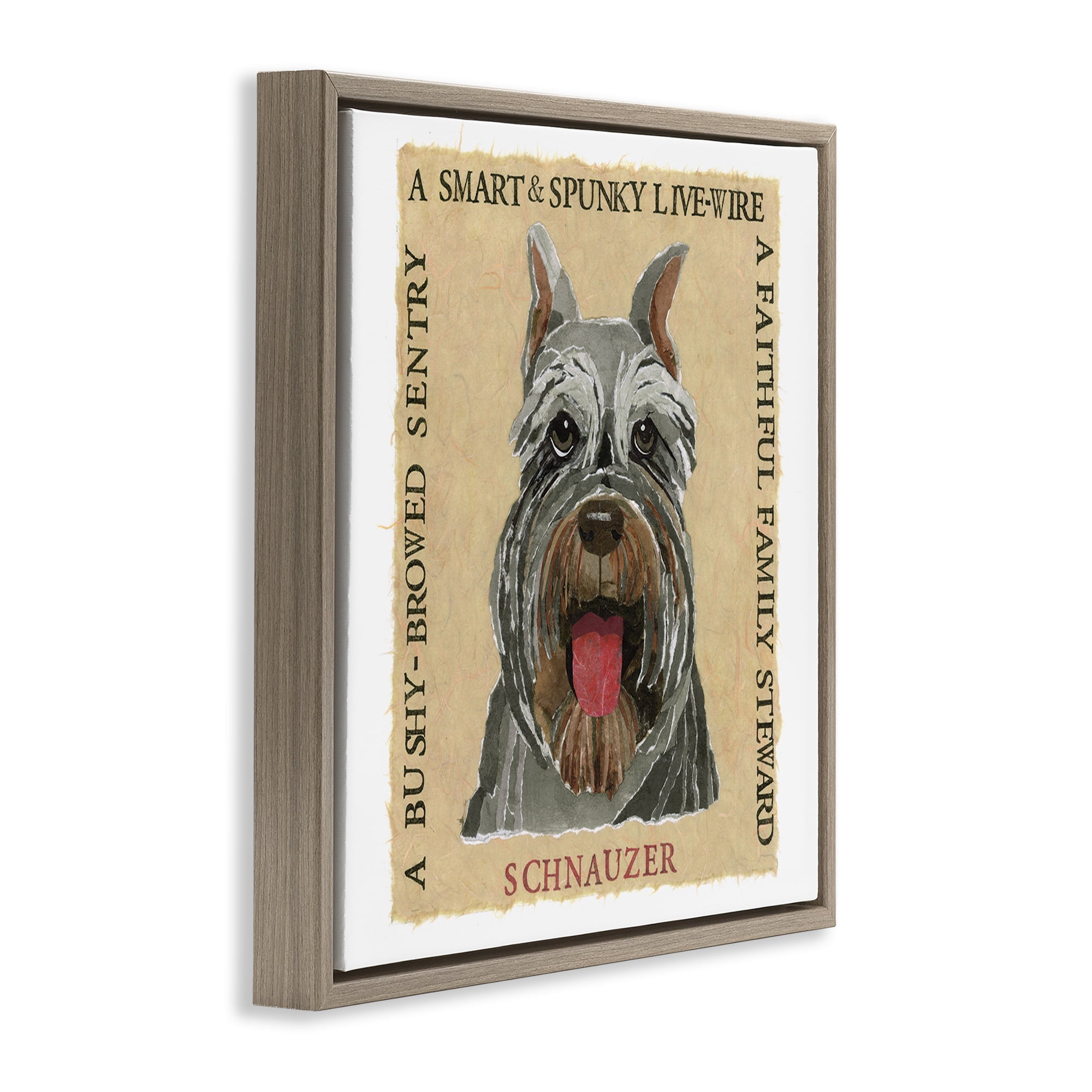 Stupell Industries Fun Schnauzer Pet Phrases Animals Painting Brown Floater Framed Canvas Art Print Wall Art, 18 x 18