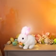 thumbnail image 4 of Jindong Children's Simulation Pet Plush Walking and Barking Toy, 4 of 9