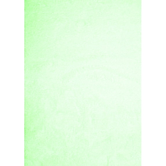 Ahgly Company Indoor Rectangle Solid Green Modern Area Rugs, 8' x 10'