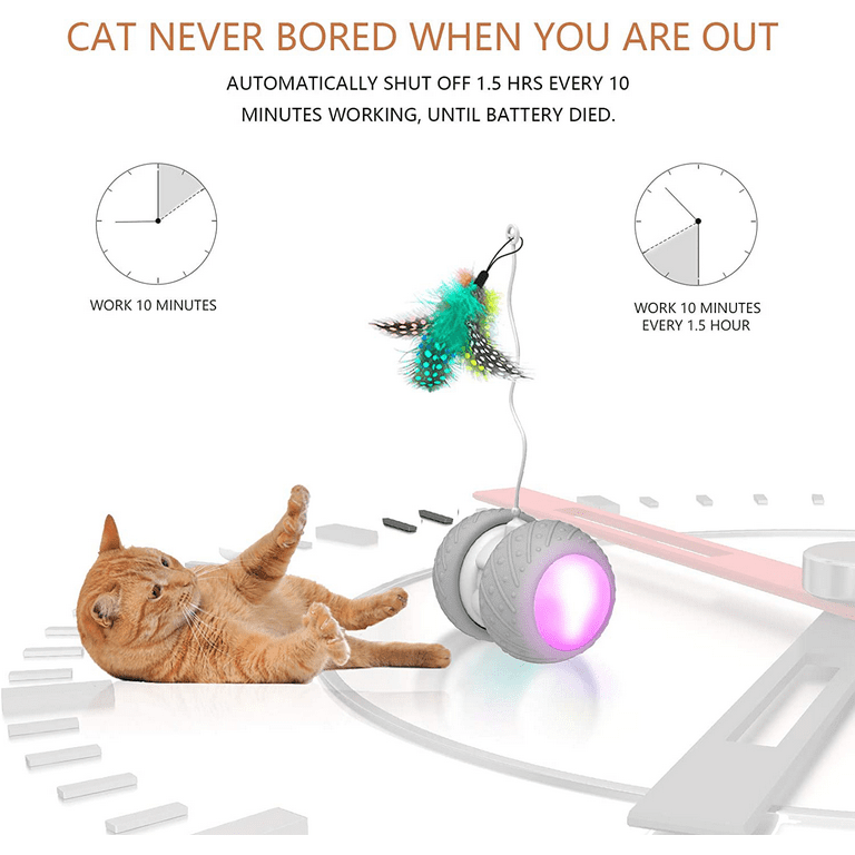 Cat Pet Toys Feathers Floor Suction cup Bell Teaser Buy 2 Get 1 toy Mouse  FREE