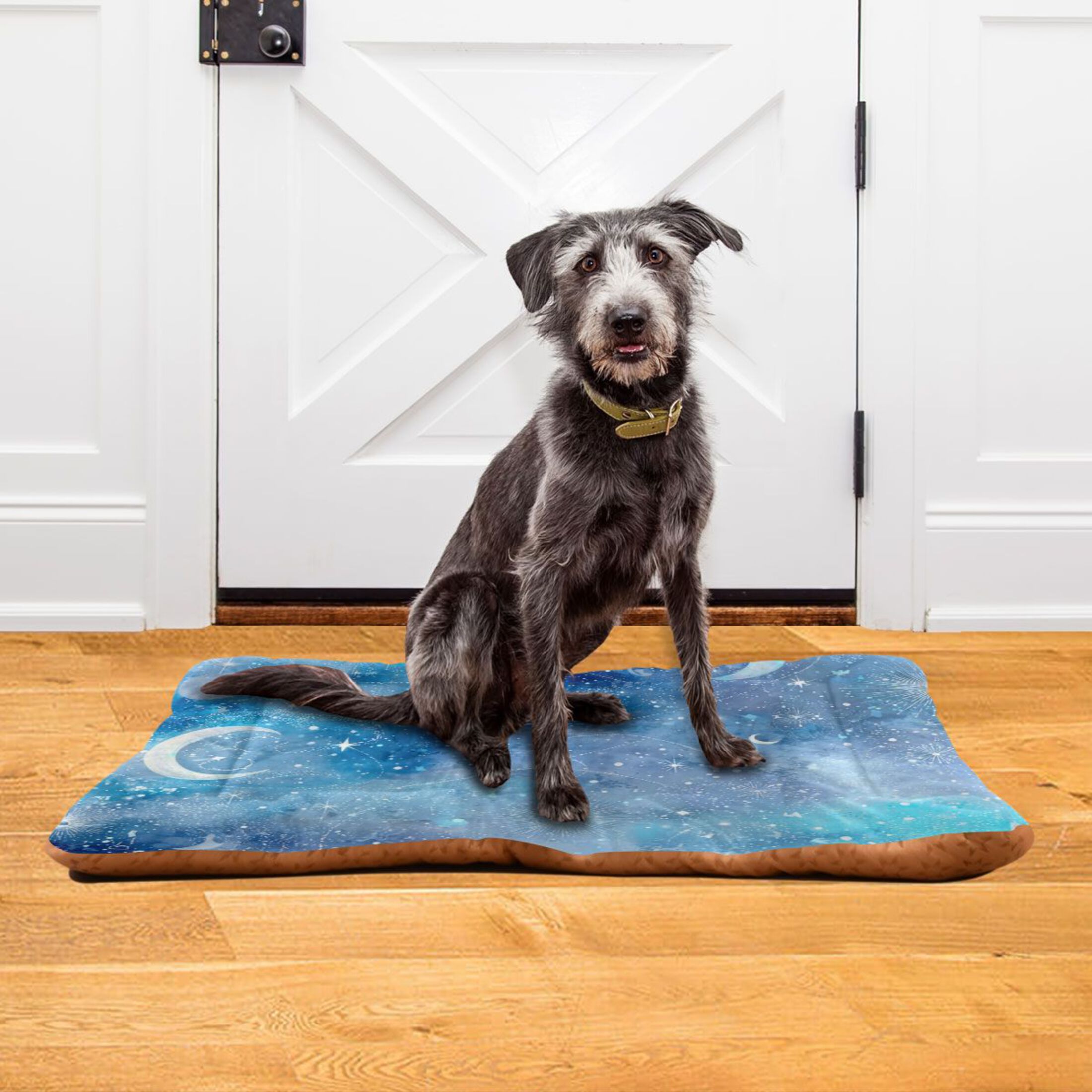 Cozy Mat Pet Bed Indoor Outdoor Warm Soft For Cat Dog Puppy(S/M) Starry Sky