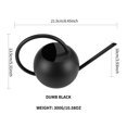 thumbnail image 2 of Billuyoard Regadera esférica portátil Regadera de acero inoxidable Regadera de diseño ergonómico Regadera para plantas domésticas Regadera con Jardín y Patio Billuyoard HA027757-00, 2 of 5