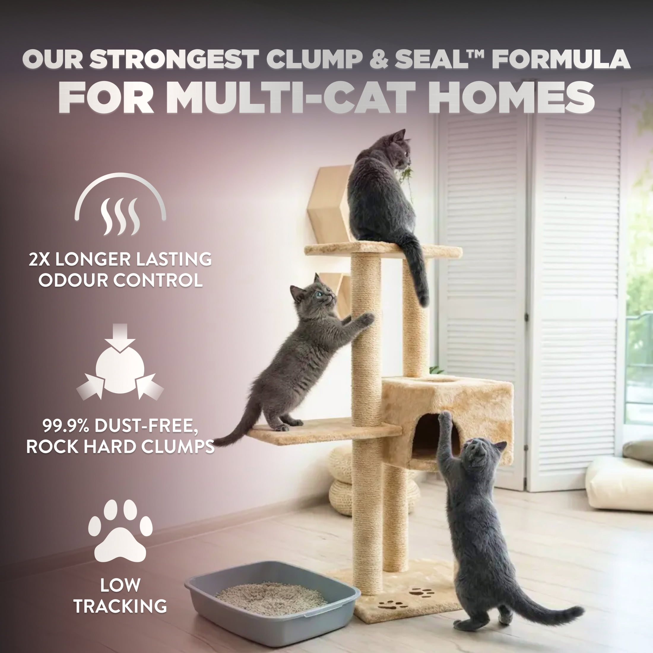 Arm & Hammer Litière pour Chat en Argile Platinum Clump & Seal, Multi-Chat, 18.14kg, Nettoyage Facile, Agglomérats Durs, Contrôle des Odeurs, Sans Poussière