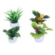 thumbnail image 4 of Decoración de mesa, 4 piezas de mini simulación de mini plantas artificiales en maceta, juego de mini simulación de plantas en maceta, experiencia incomparable, 4 of 8