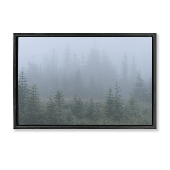 Stupell Industries Foggy Forest Trees Landscape Photography Black Floater Framed Art Print Wall Art, 25 x 17