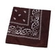 thumbnail image 1 of Advancent Moda Hip Hop algodón pañuelo cuadrado bufanda negro rojo Paisley diadema impresa para mujeres/hombres/niños/niñas sombreros Almacenamiento y organización del hogar café, 1 of 6