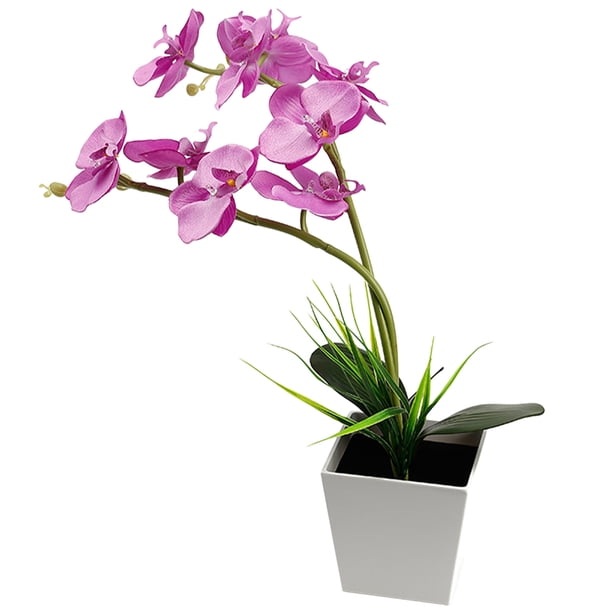 Lámpara LED para bonsái, orquídea artificial creativa, decoración (9 cuentas LED)