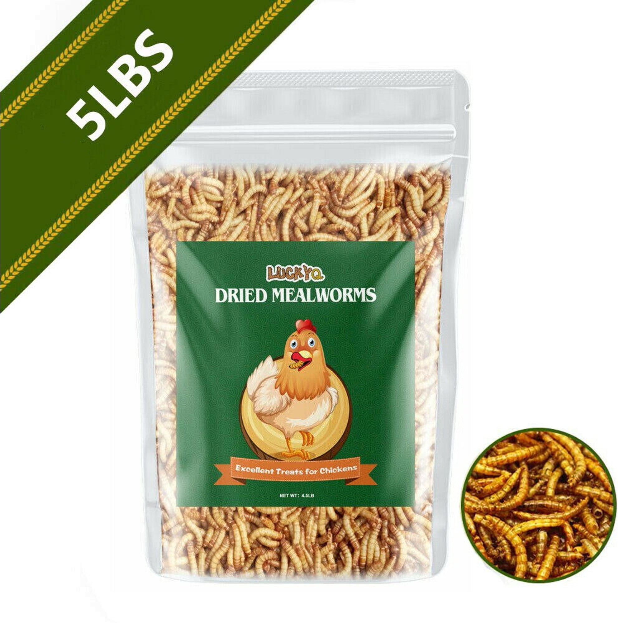 5Lbs Dried Mealworms for chickens - Chicken Treats Duck Feed Organic Meal Worms