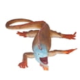 thumbnail image 1 of Modelo de reptil simulado para niños, estatuilla de reptil estática única de plástico, decoración de juguete educativo, 1 of 8