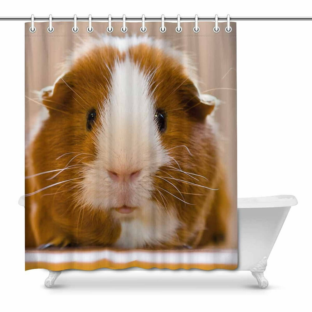 MKHERT Guinea Pig Dutch Rats Cute Animal Decor Waterproof Polyester