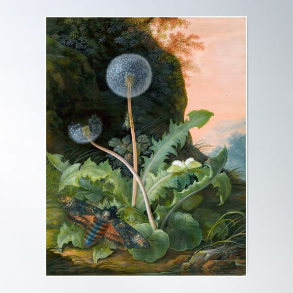 Dandelion With Moths – Vintage Botanical Art By Margaretha Barbara Dietzsch (1741-1784) Poster Wall Art, Modern Wall Decor For Living Room Bedroom, 8x12 UNFRAMED