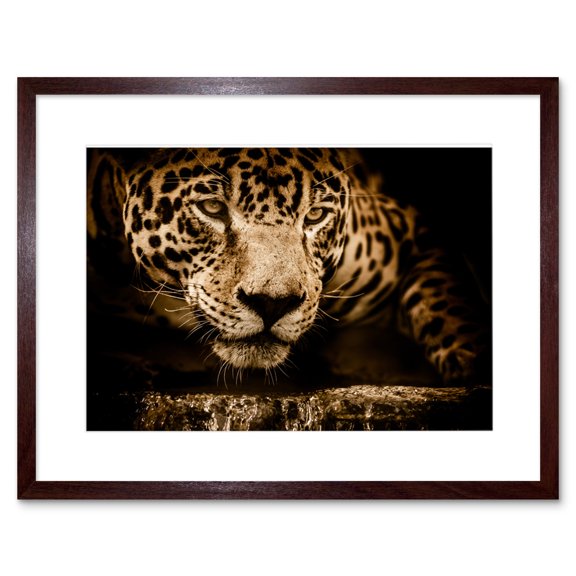 Jaguar Head Big Cat Framed Wall Art Print