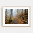 thumbnail image 2 of Fog Foliage No. 2 - Virginia Photography Unframed Wall Art Print 24 x 36 inches, 2 of 7