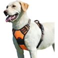 thumbnail image 1 of Arnés naranja para perros grandes, ajustable, reflectante y antitirones, fácil de poner, con asa de control, transpirable, duradero, para perros medianos y grandes., 1 of 5