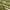 Ivory Green, variant on Nourison Aloha 9' x 12' Ivory Green Outdoor Rug