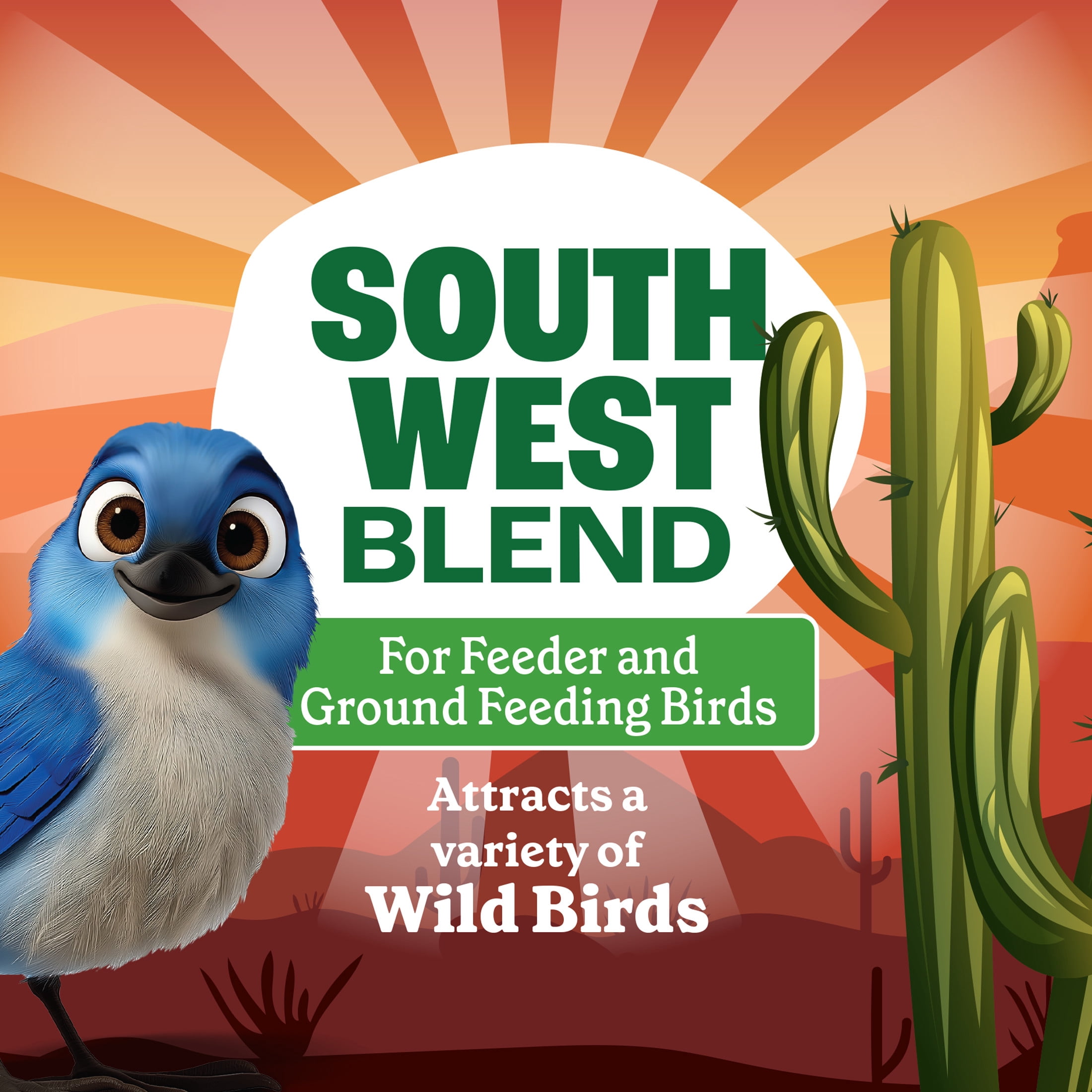 Pennington Southwest Blend Wild Bird Seed for Outside Feeders, 10 lb., 1 Pack, Dry Bird Food