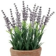 thumbnail image 4 of Northlight Artificial Lavender and Leaves in Weathered Pot - 10", 4 of 6
