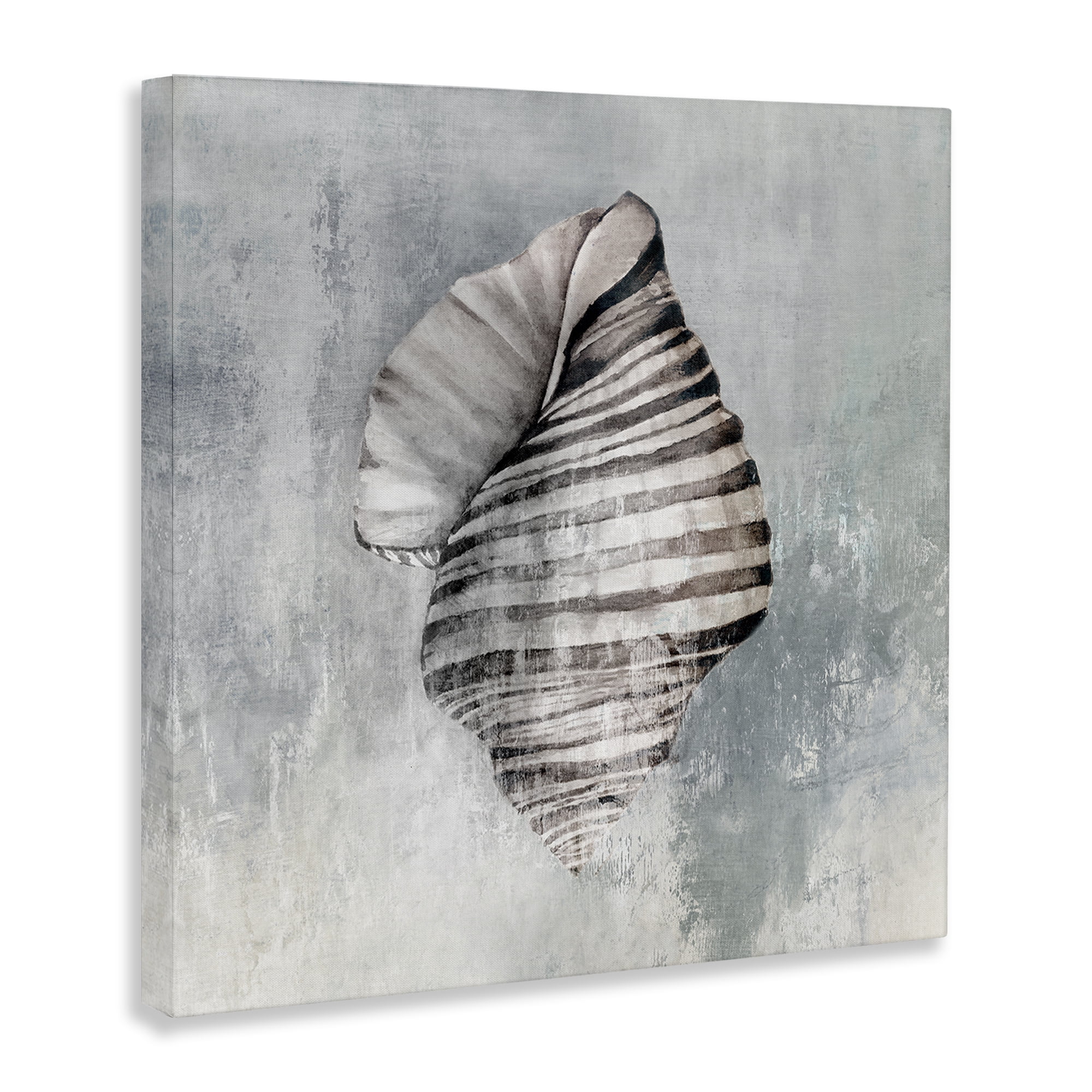 Stupell Industries Organic Twisted Seashell Nautical & Beach Painting Wrapped Canvas Art Print Wall Art, 24 x 24