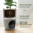 thumbnail image 4 of Dupray Bloom™ air purifier, smart, HEPA-13 filtration, integrated planter, for home use, 4 of 10