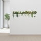 thumbnail image 1 of de pared verde resistente al agua para decoración del hogar, autoadhesivo, bricolaje, calcomanía de pared, planta colgante para comedor,, 1 of 8