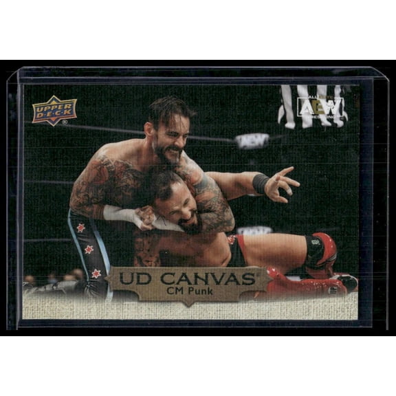 2022 Upper Deck AEW UD Canvas CM Punk #C28 Wrestling Trading Card