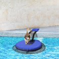 thumbnail image 2 of 2-Piece Small Animal Rescue Escape Ramps for Swimming Pool - Pool Accessories, 2 of 5