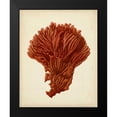 thumbnail image 2 of Vision Studio 12x14 Black Modern Framed Museum Art Print Titled - Antique Red Coral I, 2 of 5