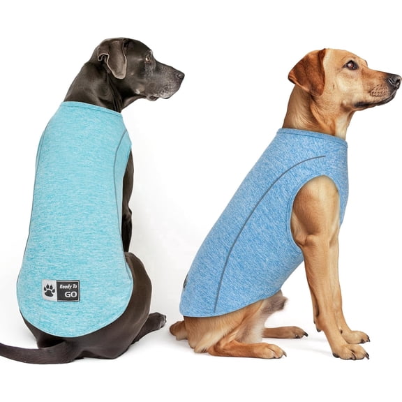 KYEESE 2 Pack Reflective Dog Shirt, Lightweight T-Shirt for Small Medium and Large Dogs, Lake Blue Blue, 2XL