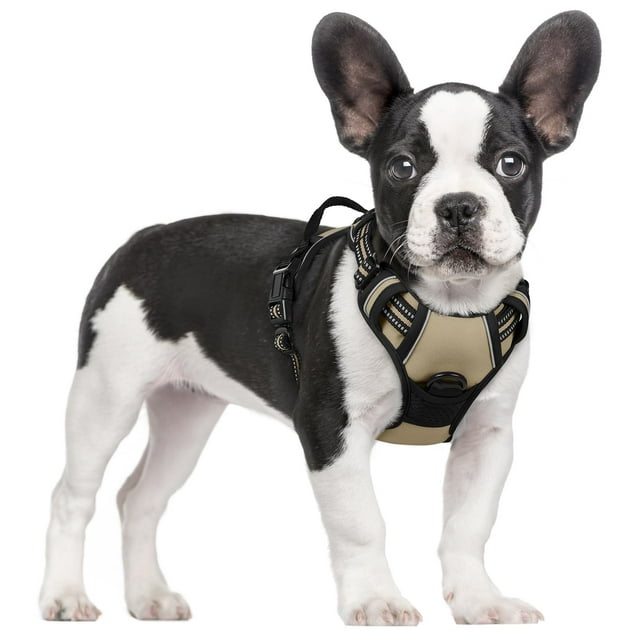Arnés para perros Rabbitgoo, sin tirones, ajustable para perros pequeños